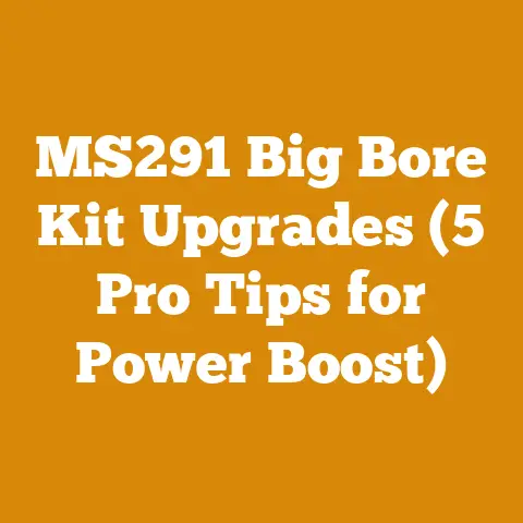 MS291 Big Bore Kit Upgrades (5 Pro Tips for Power Boost)