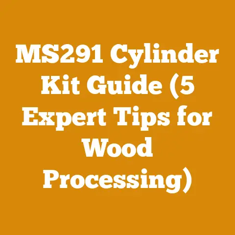 MS291 Cylinder Kit Guide (5 Expert Tips for Wood Processing)