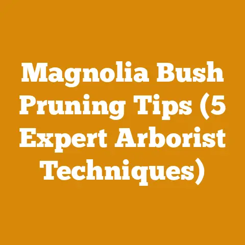 Magnolia Bush Pruning Tips (5 Expert Arborist Techniques)