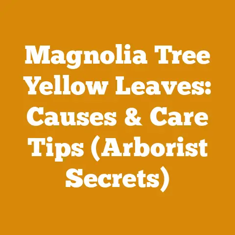 Magnolia Tree Yellow Leaves: Causes & Care Tips (Arborist Secrets)