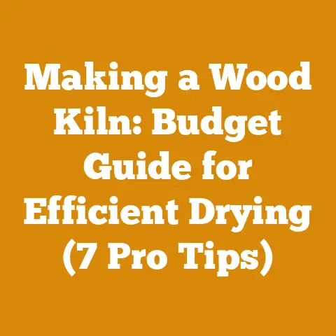 Making a Wood Kiln: Budget Guide for Efficient Drying (7 Pro Tips)