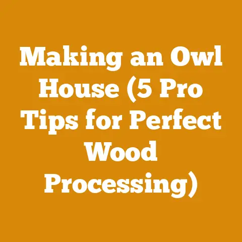 Making an Owl House (5 Pro Tips for Perfect Wood Processing)
