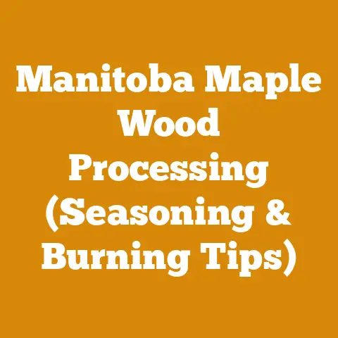 Manitoba Maple Wood Processing (Seasoning & Burning Tips)
