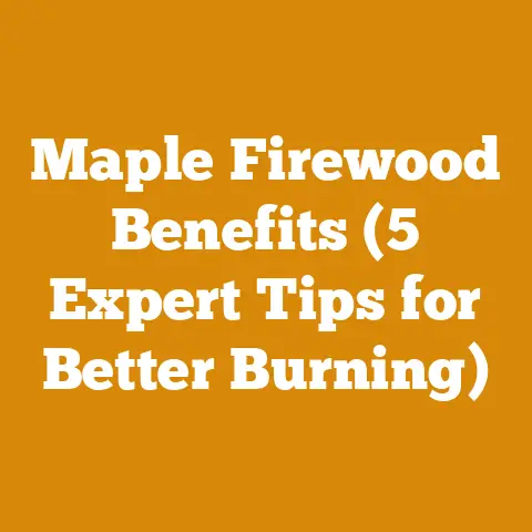 Maple Firewood Benefits (5 Expert Tips for Better Burning)