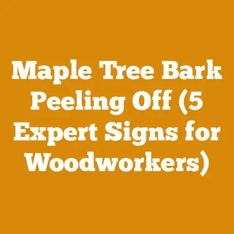 Maple Tree Bark Peeling Off (5 Expert Signs for Woodworkers)