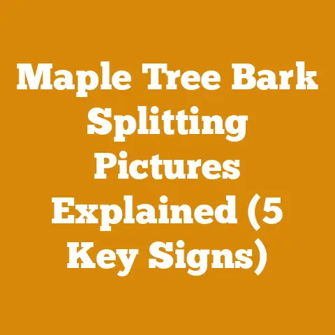 Maple Tree Bark Splitting Pictures Explained (5 Key Signs)