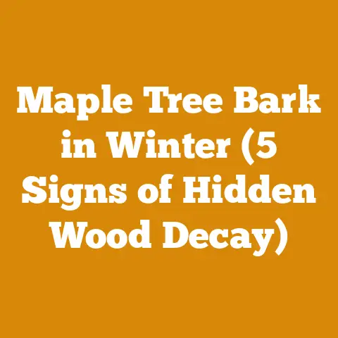 Maple Tree Bark in Winter (5 Signs of Hidden Wood Decay)