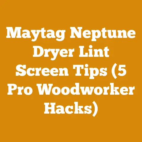 Maytag Neptune Dryer Lint Screen Tips (5 Pro Woodworker Hacks)