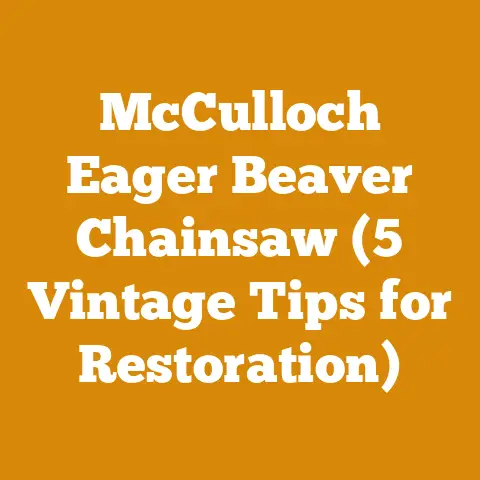 McCulloch Eager Beaver Chainsaw (5 Vintage Tips for Restoration)