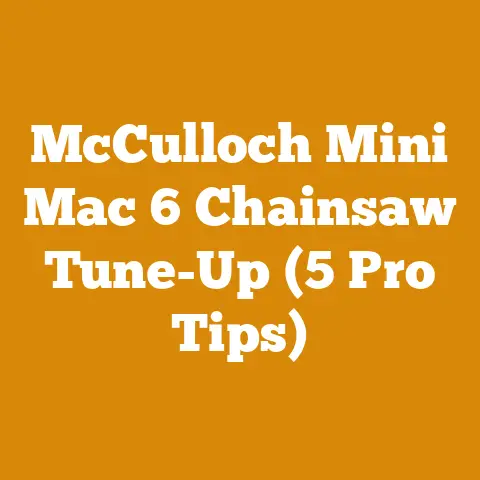 McCulloch Mini Mac 6 Chainsaw Tune-Up (5 Pro Tips)