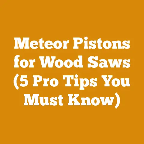 Meteor Pistons for Wood Saws (5 Pro Tips You Must Know)