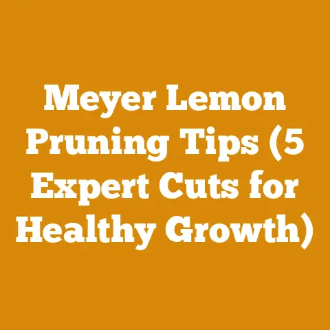 Meyer Lemon Pruning Tips (5 Expert Cuts for Healthy Growth)
