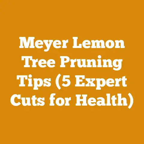 Meyer Lemon Tree Pruning Tips (5 Expert Cuts for Health)