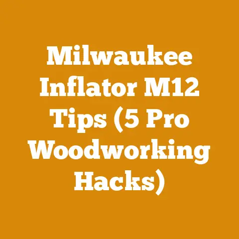 Milwaukee Inflator M12 Tips (5 Pro Woodworking Hacks)
