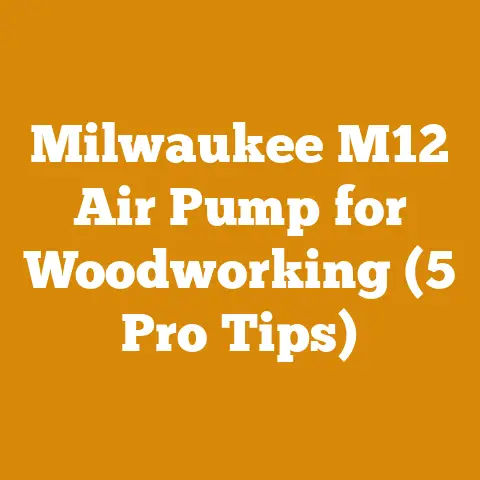 Milwaukee M12 Air Pump for Woodworking (5 Pro Tips)
