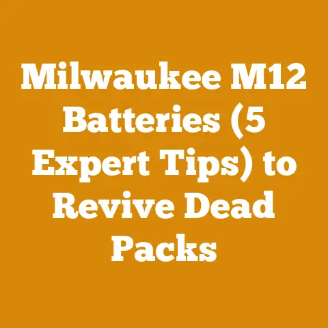 Milwaukee M12 Batteries (5 Expert Tips) to Revive Dead Packs