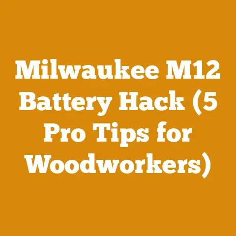 Milwaukee M12 Battery Hack (5 Pro Tips for Woodworkers)