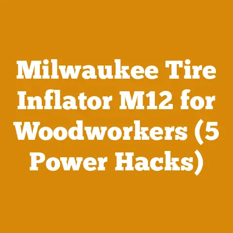Milwaukee Tire Inflator M12 for Woodworkers (5 Power Hacks)