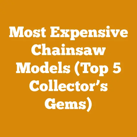 Most Expensive Chainsaw Models (Top 5 Collector’s Gems)