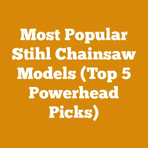 Most Popular Stihl Chainsaw Models (Top 5 Powerhead Picks)