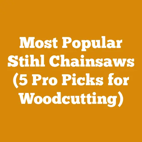 Most Popular Stihl Chainsaws (5 Pro Picks for Woodcutting)