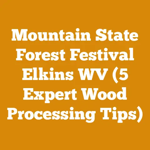Mountain State Forest Festival Elkins WV (5 Expert Wood Processing Tips)