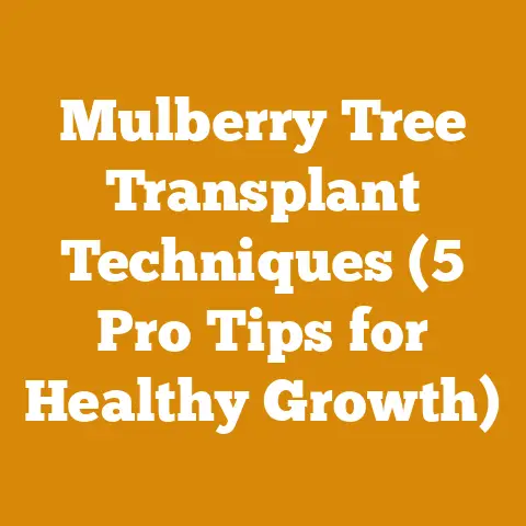 Mulberry Tree Transplant Techniques (5 Pro Tips for Healthy Growth)