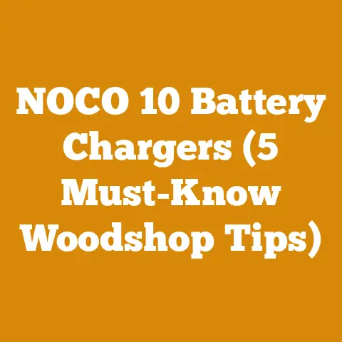 NOCO 10 Battery Chargers (5 Must-Know Woodshop Tips)