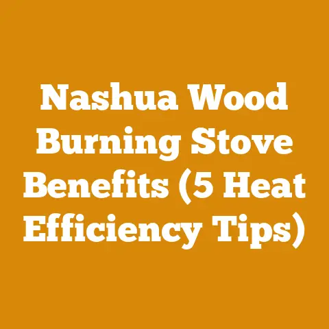 Nashua Wood Burning Stove Benefits (5 Heat Efficiency Tips)