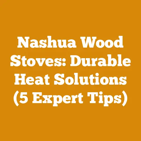 Nashua Wood Stoves: Durable Heat Solutions (5 Expert Tips)