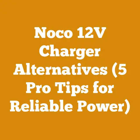 Noco 12V Charger Alternatives (5 Pro Tips for Reliable Power)