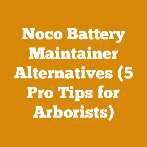 Noco Battery Maintainer Alternatives (5 Pro Tips for Arborists)