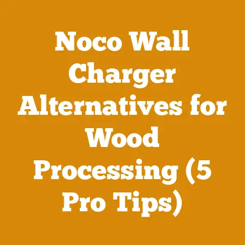 Noco Wall Charger Alternatives for Wood Processing (5 Pro Tips)