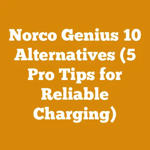 Norco Genius 10 Alternatives (5 Pro Tips for Reliable Charging)