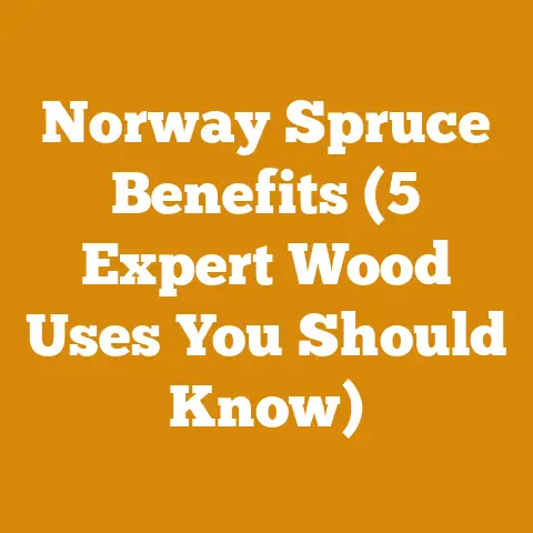 Norway Spruce Benefits (5 Expert Wood Uses You Should Know)
