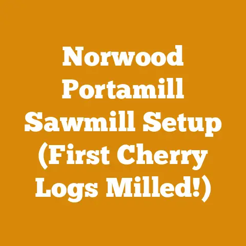 Norwood Portamill Sawmill Setup (First Cherry Logs Milled!)