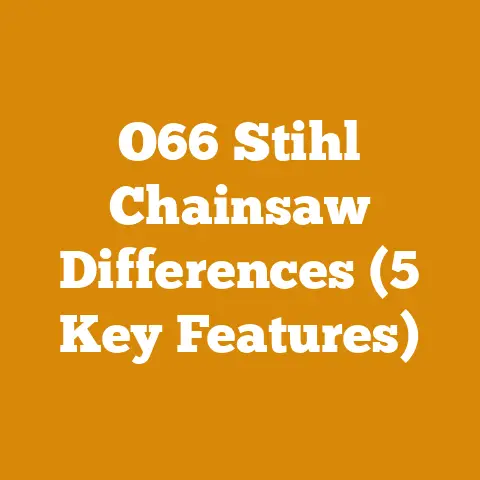 O66 Stihl Chainsaw Differences (5 Key Features)