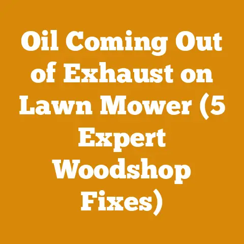 Oil Coming Out of Exhaust on Lawn Mower (5 Expert Woodshop Fixes)