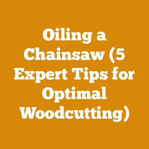 Oiling a Chainsaw (5 Expert Tips for Optimal Woodcutting)