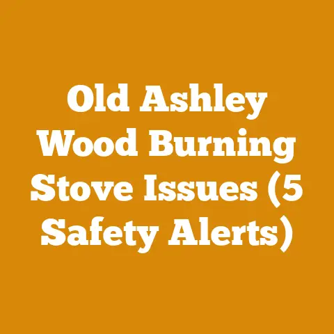 Old Ashley Wood Burning Stove Issues (5 Safety Alerts)