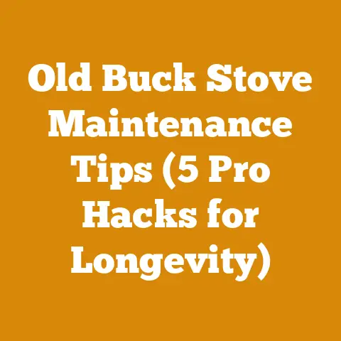 Old Buck Stove Maintenance Tips (5 Pro Hacks for Longevity)