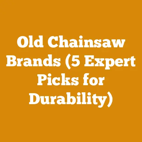 Old Chainsaw Brands (5 Expert Picks for Durability)