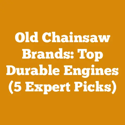 Old Chainsaw Brands: Top Durable Engines (5 Expert Picks)