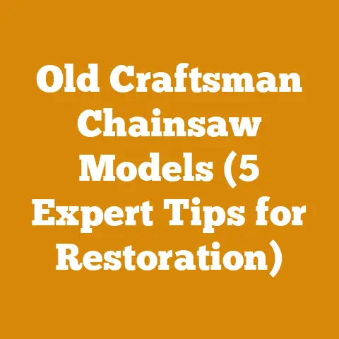 Old Craftsman Chainsaw Models (5 Expert Tips for Restoration)