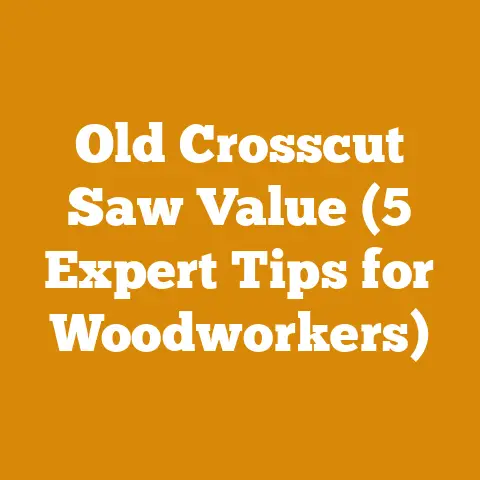 Old Crosscut Saw Value (5 Expert Tips for Woodworkers)