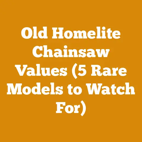 Old Homelite Chainsaw Values (5 Rare Models to Watch For)