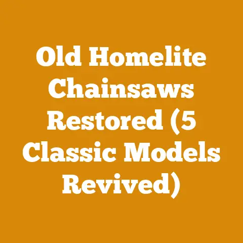 Old Homelite Chainsaws Restored (5 Classic Models Revived)