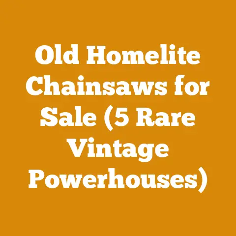 Old Homelite Chainsaws for Sale (5 Rare Vintage Powerhouses)