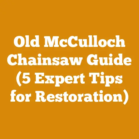 Old McCulloch Chainsaw Guide (5 Expert Tips for Restoration)