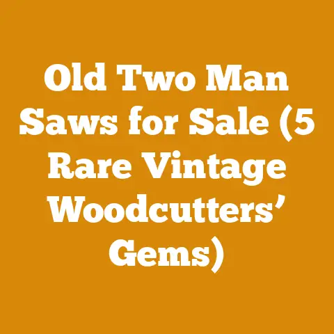 Old Two Man Saws for Sale (5 Rare Vintage Woodcutters’ Gems)